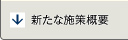 新たな施策概要