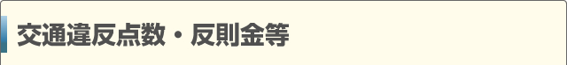 交通違反点数・反則金等